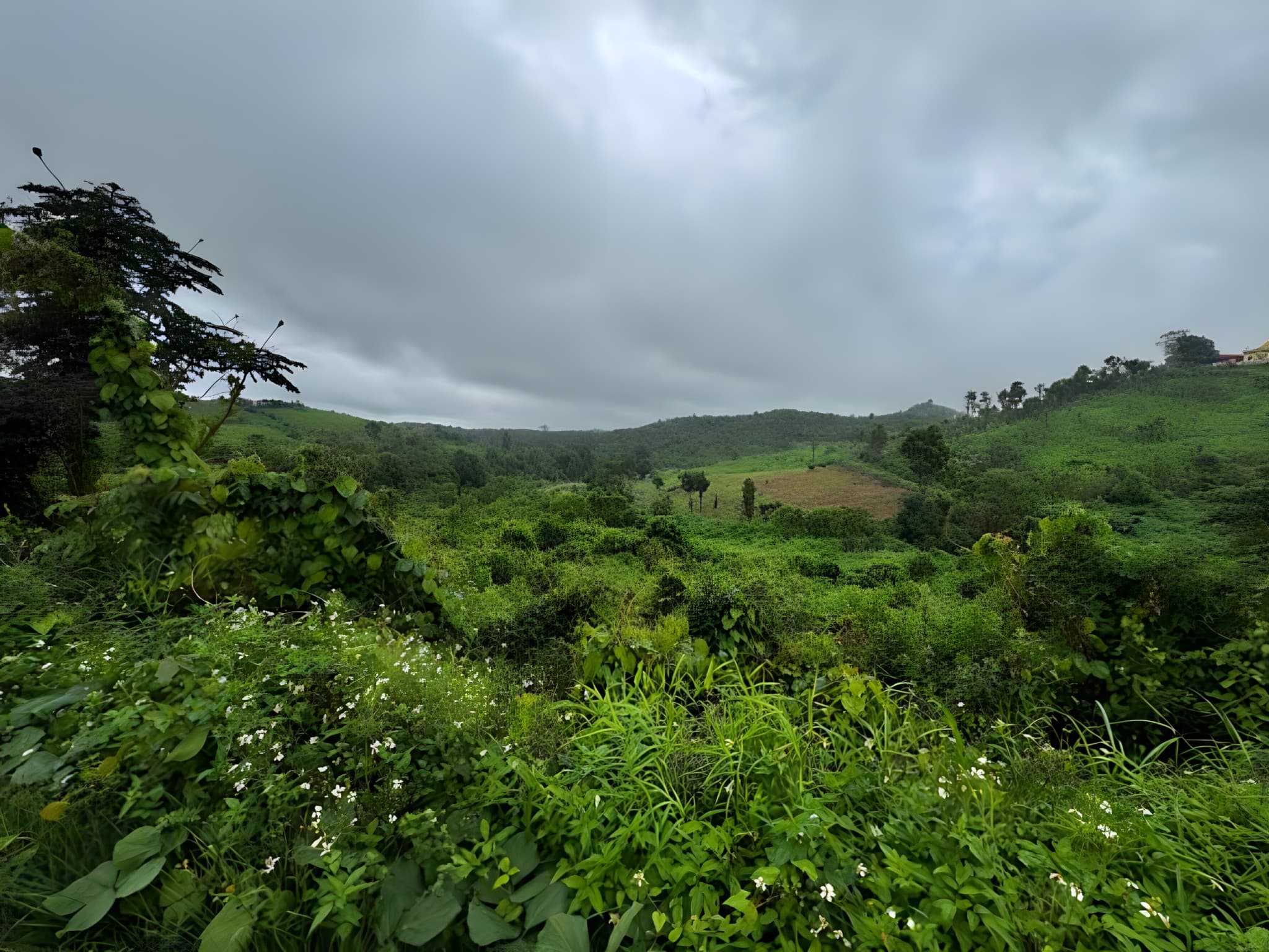 Green hills at the Nyaung Ni project site