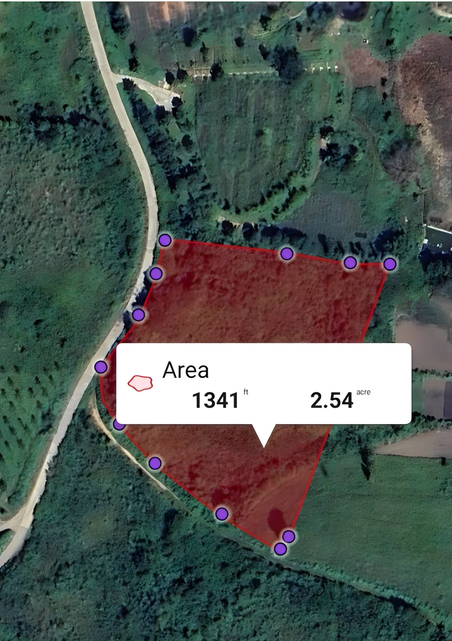 Aerial map detail of the Nyaung Ni project plot