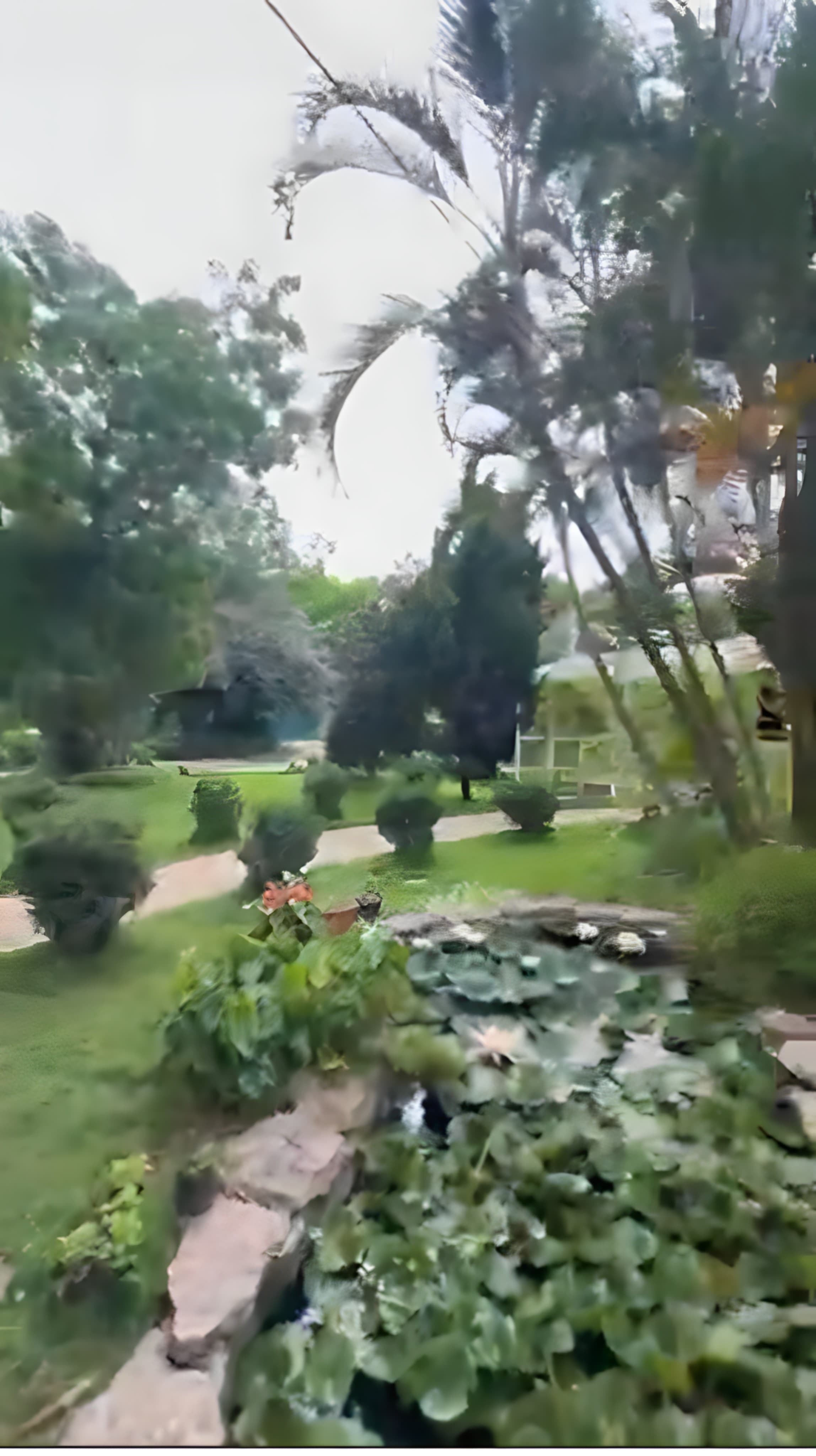 Garden at the Quarter 5 property
