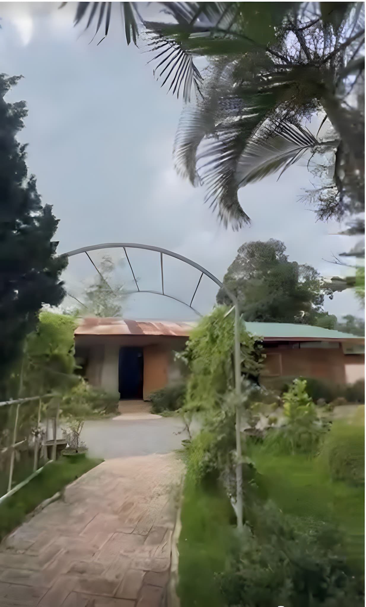 Pathway leading to the Quarter 5 house